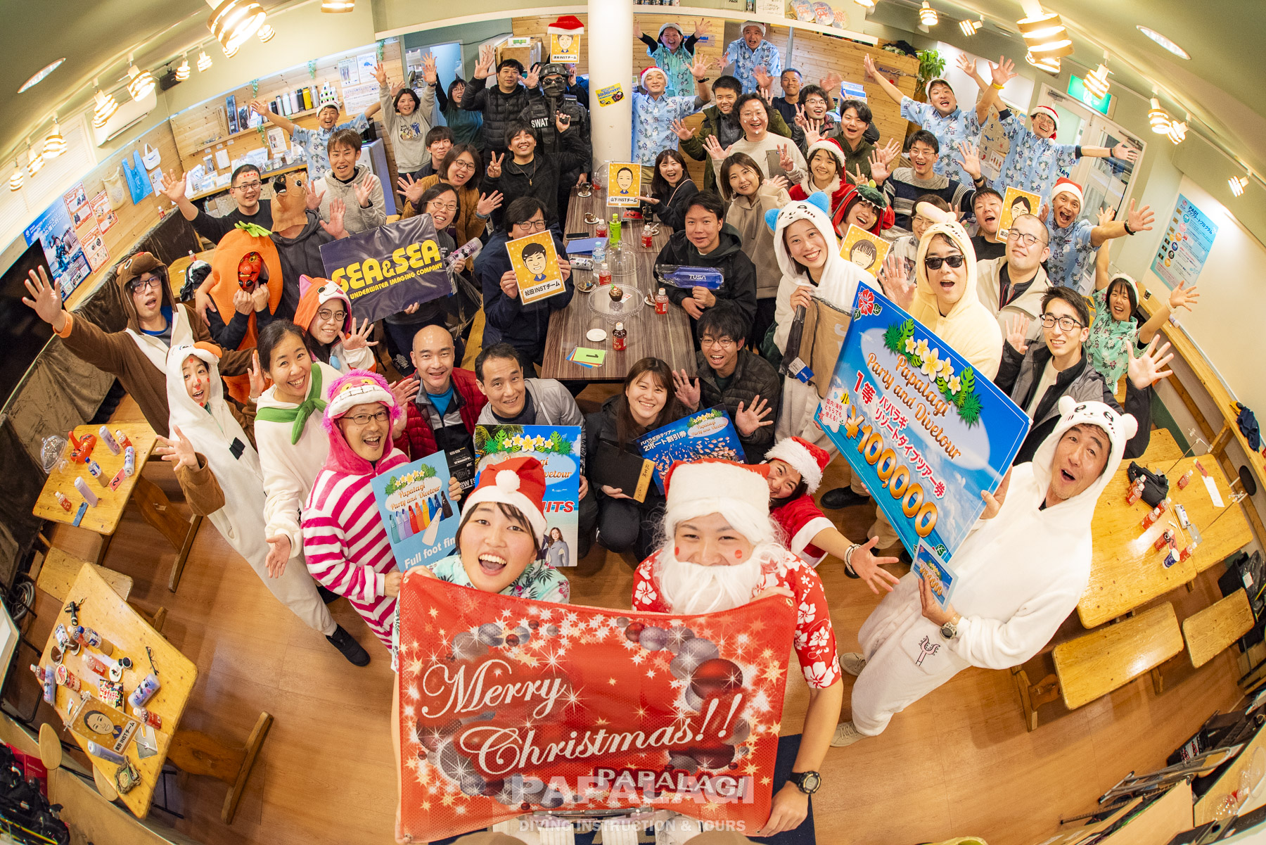 パパラギXmas第三週 | 【藤沢でダイビングライセンス取得】｜パパラギ