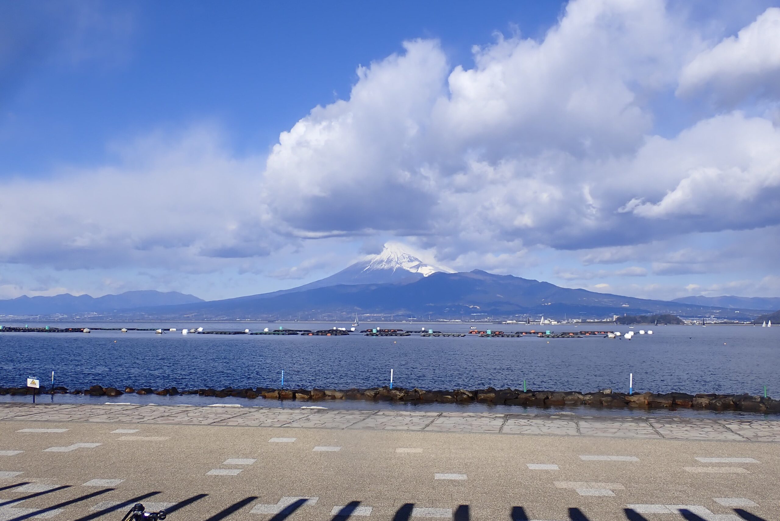 かにグルメツアー